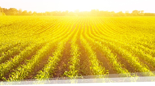 dem_impresa_agricoltura_testata