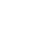 software